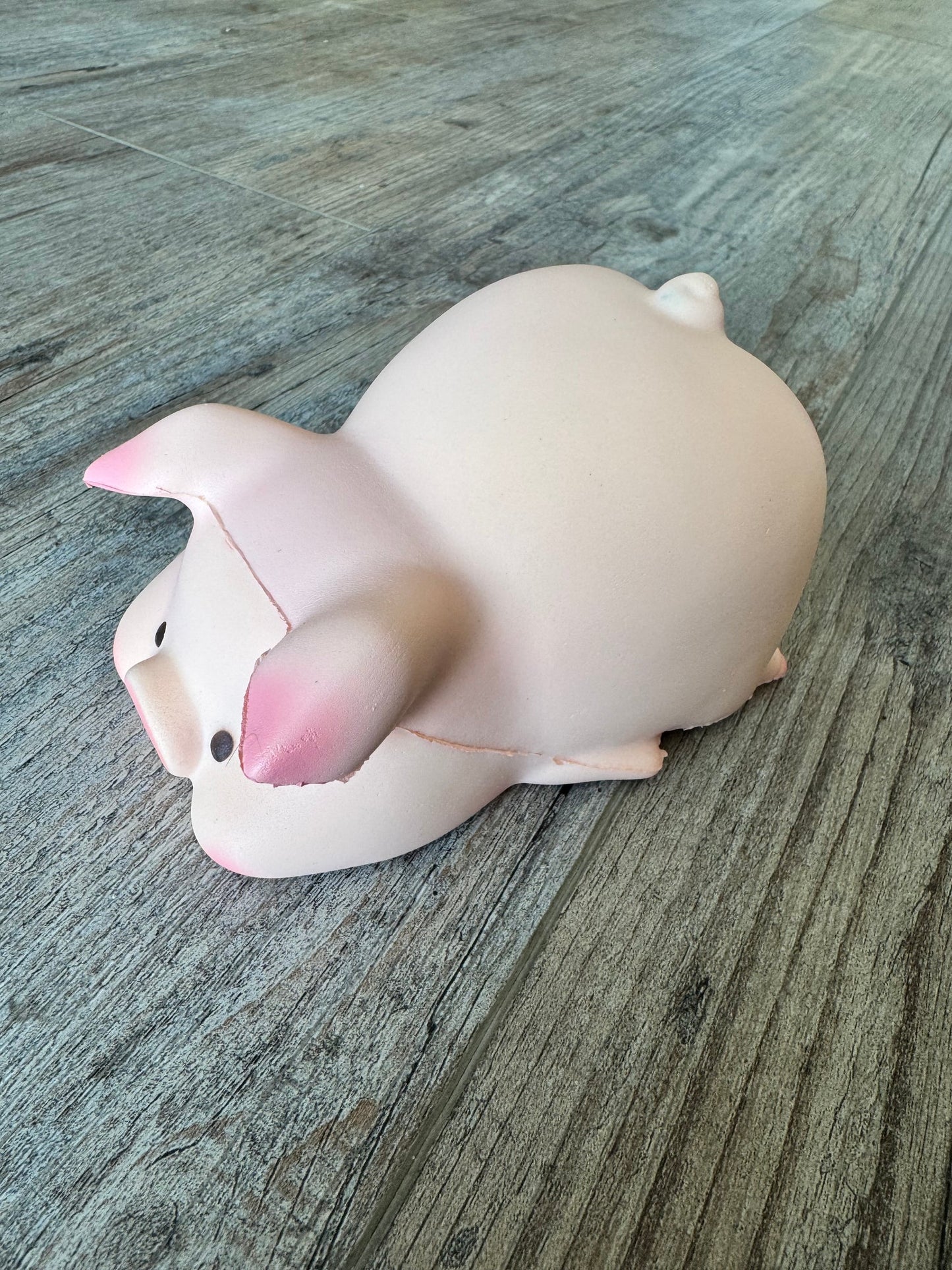 Pig Squishies