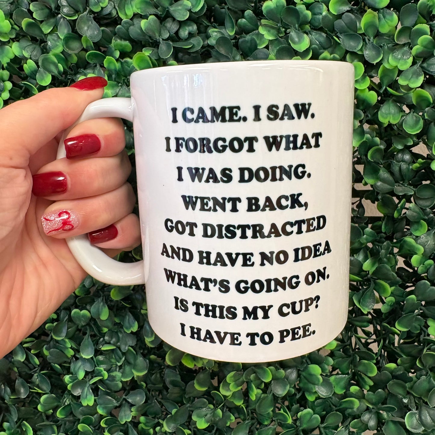 I Came I Saw I Forgot Mug