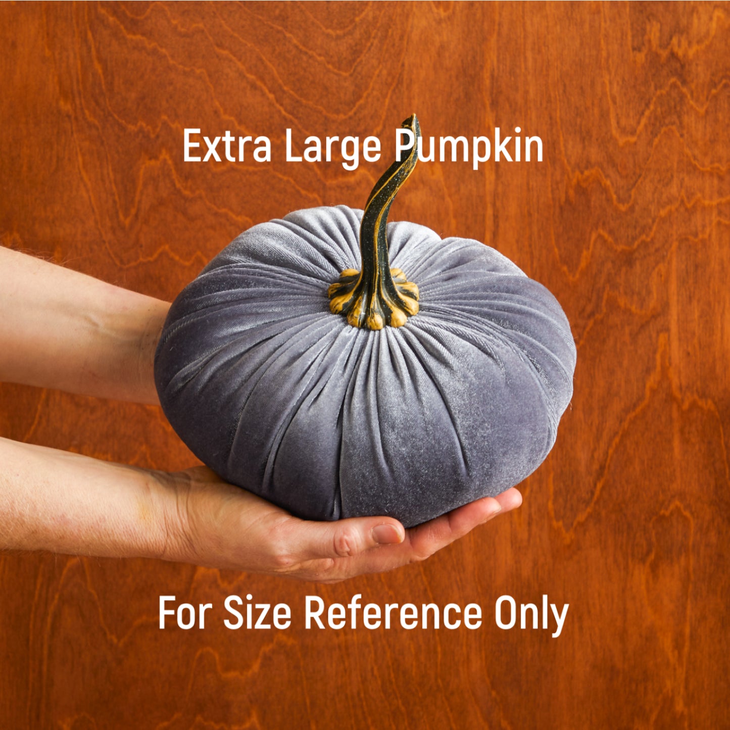 Velvet Pumpkins