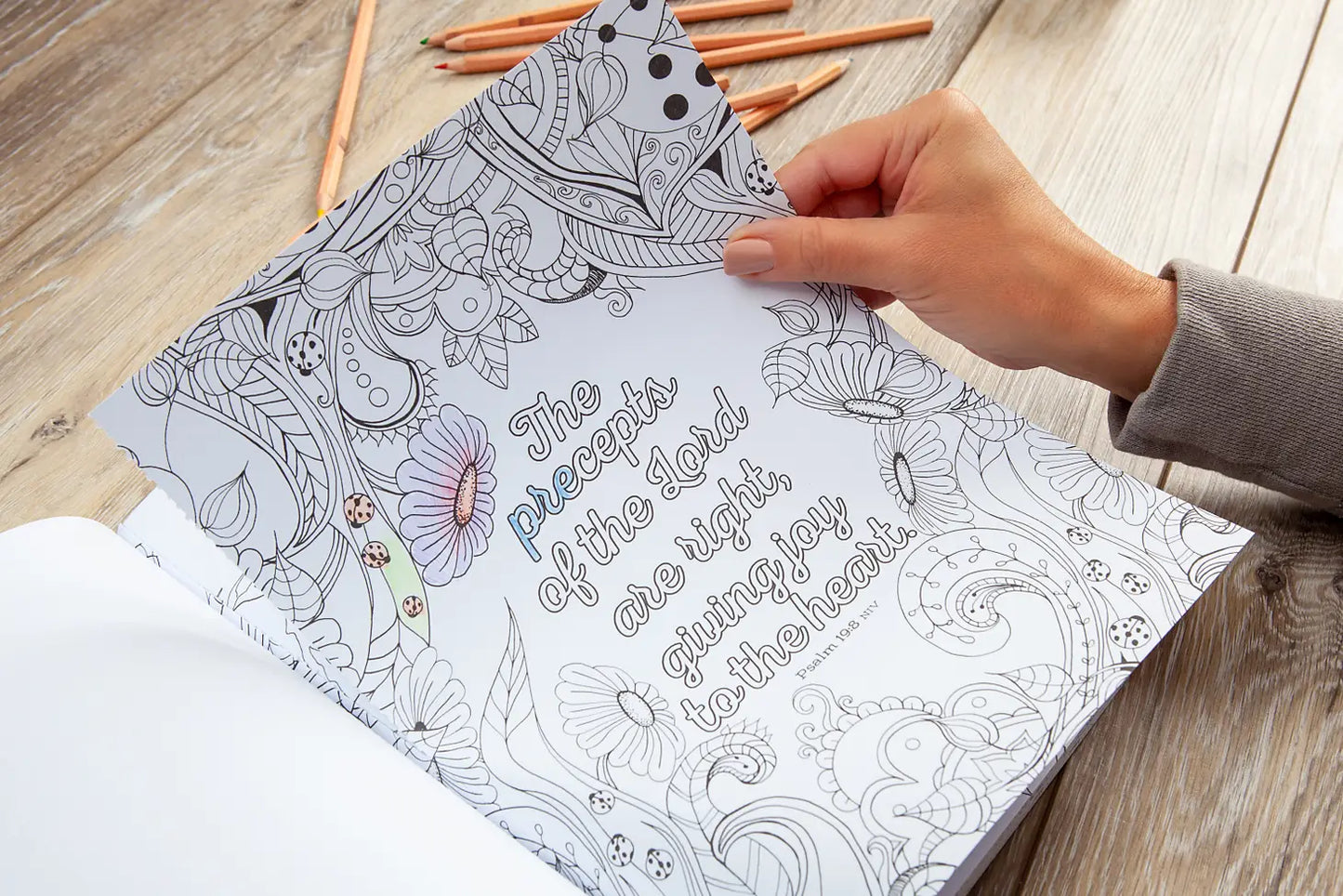 The Beloved Psalms - Coloring Book