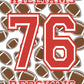 Personalized Name and Number Sports Blankets