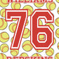 Personalized Name and Number Sports Blankets