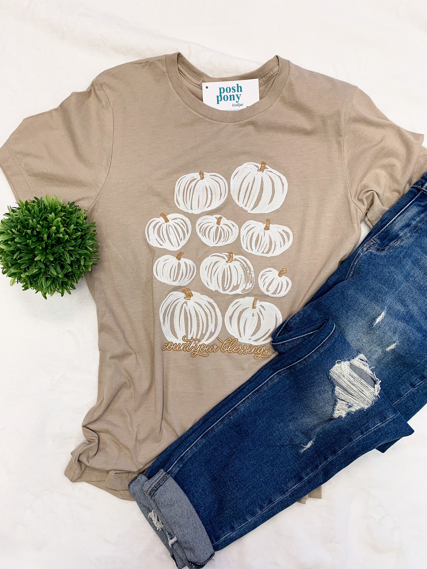 Count Your Blessings Pumpkin Tee